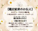 あなたのトリセツ！秘められた才能や魅力を鑑定します 星読みで見つける、自分らしい生き方の秘訣 イメージ4