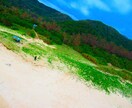 自然の写真を提供します 自然の魅力を発信し、自然環境に多くの人が目を向けて欲しいです イメージ2