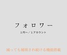 インスタ大拡散☆フォロワー1500人増やします 減ったら自動で拡散☆フォロワー数半永久維持☆コスパ最高！ イメージ3