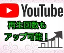 YouTube登録者・再生数増やします 即日対応可！各種SNS対応！保証あり！お気軽にどうぞ！ イメージ4