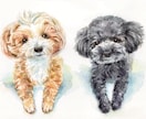 ペット似顔絵　手描きの水彩画で優しく描きます 犬・猫その他ペット全般の似顔絵/プレゼントにもオススメ◎ イメージ5