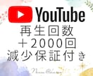 YouTubeの再生回数を2000回増やします 動画の注目度UP！視聴者を増やしチャンネルを活性化！ イメージ1