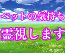 ペットの気持ちを霊視します ❂現役霊媒師が日本古来から伝わる霊視を使います。 イメージ1