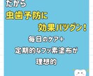 歯科Instagram投稿10枚セット作成します 清潔感のある色味と親しみやすいデザイン！SNS投稿で信頼感 イメージ5