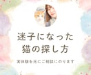 迷子猫の探し方。ペット探偵に頼む前に相談にのります 迷子猫を見つけられた経験あり。初動のアドバイスをします。 イメージ1