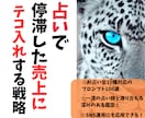 裏技AI鑑定書で初心者が選ばれる占い師に変身します 言葉の重みを引き出す感動の鑑定書！簡単自動生成でもう迷わない イメージ2