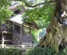 タロットであなたを占います 北から南まで神社仏閣お参りさせて頂いてます イメージ2