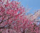 予約制通話★いつでもお話相手になります 予約制通話です！散歩中移動中や少し誰かと話したいときに是非！ イメージ1