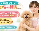 トリマー歴10年以上プロトリマーがお答えします 普段トリマーさんに聞けない色んなことなんでもご相談下さい！ イメージ1