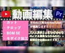 最安値 元YouTuberが編集します 収益化経験ありのあなただけの動画を作成します！！ イメージ1