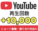 YouTube動画再生回数1万回増やします ショート対応 振り分け可能 YouTube 収益化 保証付き イメージ1