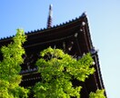 京都旅行の行程表を元プロガイドが作ります 今回の京都旅行はいつもとは違う特別な旅になる！ イメージ4