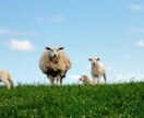 どんな悩みでも解決します！あなたの幸せを祈ってる イメージ1