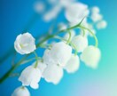 優しく癒やされたい方、ゆったりまったり癒やします ・いつも頑張ってるあなた。私がヨシヨシしてあげるね♡ イメージ2