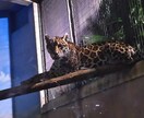 かわいい我が子の可能性を引き出す方法お伝えします 親子関係をより良くしたい！夢に溢れる子育て中のあなたへ イメージ1