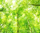 人生が変わる！貴方のお悩みを解決いたします 直感カード占いで、貴方を幸せへと導くためにアドバイスします。 イメージ1