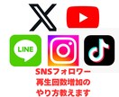 SNSフォロワー、再生回数の増加の仕方教えます ご自身、サービスを必要とされている方にも喜ばれます イメージ1