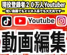 SNS全般と主にYouTubeの動画編集致します 現役YouTuberがあなたの理想の動画をお作りします⭐︎ イメージ1