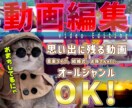 思い出に残る素敵な動画を高品質で編集します 音楽ライブからお孫さんの行事まで「あの頃」を残しませんか？ イメージ1
