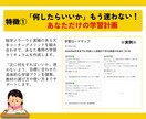 1ヶ月のお試し英語コーチングをプロ講師が提供します 短期プログラムを体験／完全オーダーメイド◎ イメージ5