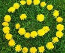 悩みは誰にもあり、辛い時はどうぞお話しお聞きします あなたと共に明日が明るくなれるお手伝いをさせていただきます。 イメージ3