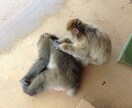 お悩み事をゆっくりお聞きします どんなお悩みでも相談してみてください イメージ1