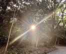最善のアナタ様に☆^ ^★ご祈願、ご祈念致します 心願成就☆御縁結び★身心健康☆交通安全★厄難消滅 イメージ7