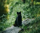 生まれつきの霊感霊視でご相談・愚痴聞きします どんな悩みでもお伺いします！愚痴聞きと霊視両方行えます。 イメージ10