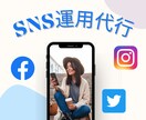 1ヶ月間！SNSの運用代行を安価でお手伝いします SNS運用歴6年！WEB集客のプロが代行します！ イメージ1