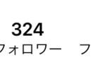 Instagramのフォロワーを500人増やします フォロワーを増やすために宣伝します イメージ1