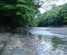 遠隔ヒーリングでの整体をします １日に３回（朝、昼、夜）ヒーリングを受けて頂けるコースです。 イメージ1