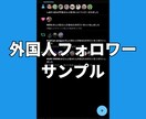 Xツイッター外国人フォロワーを1000人増やします 【最安】X(旧ツイッター)の外国人1000人増加ほぼ減少なし イメージ6
