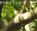 友達、彼氏、旦那、上司部下への愚痴、悩み聞きます 言いたくても言えないそんなモヤモヤ出しちゃいましょう イメージ2
