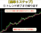 海外で300万回再生の5分足トレード手法教えます FX・MT4用オリジナルインジケーター＋実践マニュアル付き！ イメージ6