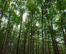 心の波を感じながら静かに寄り添います あなたの気づいていなかった感情に出会うかも。 イメージ1