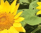アイコン、待ち受け画像の写真やお絵描きをします 用途に合わせた写真形式、シンプルなお絵描き承ります！ イメージ2