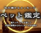 ペット鑑定 | 虹の橋の大事な家族の声を届けます あの子が伝えたい言葉、伝えられなかった思いを私が代筆します。 イメージ1