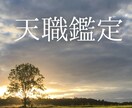 天職鑑定｜”このままでいいのかな？”に答えます 魂の使命×適職×未来の転機を鑑定し、仕事運アップへ導きます イメージ1