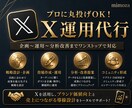 X運用丸投げ！企画〜分析改善まで対応します LP・LINE・広告まで連携し、売上につながる導線を構築 イメージ1