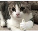 完全プライベートでお話お聴きします 話すことでスッキリしたい。利害関係がないからこそお話できそう イメージ1