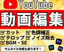 YouTube動画編集承ります 動画編集の時間が取れない、あまりお金をかけたくないという方に イメージ1