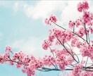 タロット♡数秘術で占います 誰にも言えないお悩み話して楽になりませんか？ イメージ1