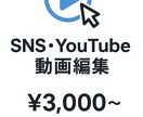 SNSやYouTubeに最適化した動画を編集します SNS最適化動画編集｜雑務代行以上の品質に イメージ1