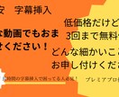 長時間の動画に字幕挿入します 90分以上の動画に字幕挿入!! イメージ1