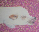 あなたの大切なペットを油絵で描きます ペット・動物の絵を飾りたい方におすすめです！ イメージ3