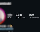 インスタフォロワー最大35,000人増やします あなたのSNSを世界中に発信するお手伝いをさせて頂きます イメージ2