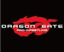 近代プロレス知識を教えます 最近話題のプロレスについて知ろう！ イメージ3
