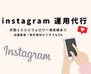 忙しいあなたの代わりにインスタを運用します 週５でいいね＆フォロー＆アンフォローを代行します♡ イメージ1