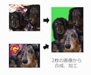 写真、画像を合成、加工します どんな画像処理にも対応。複数の画像を合成したり、修正します。 イメージ10