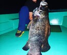 ルアー釣り教えます バスからイトウ、アカメ、ビワナマまでなんでもござれ！ イメージ1